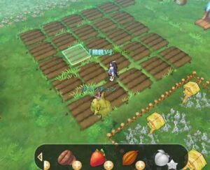 アッシュテイル　農園